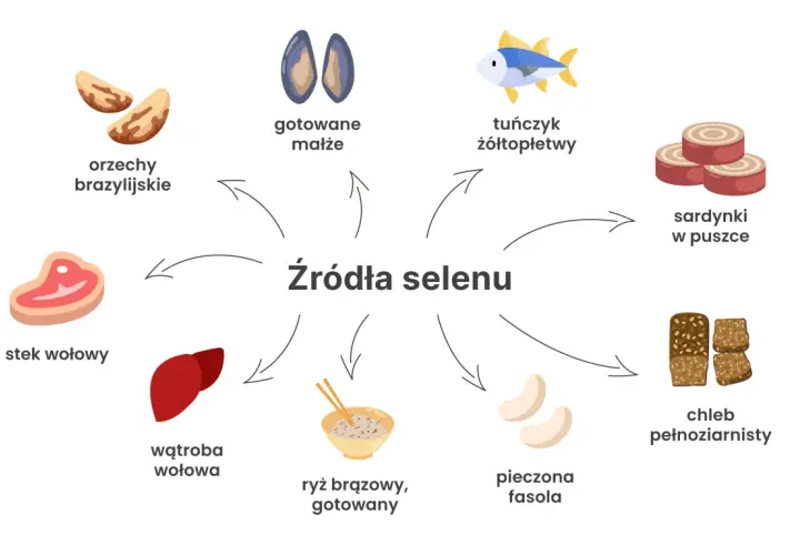 Odkryj, jak ważne są selen właściwości! Na grafice źródła selenu: orzechy brazylijskie, małże, tuńczyk, sardynki, stek, wątroba, ryż, fasola i chleb pełnoziarnisty.